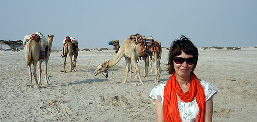 J and camels